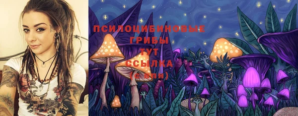 мескалин Козловка