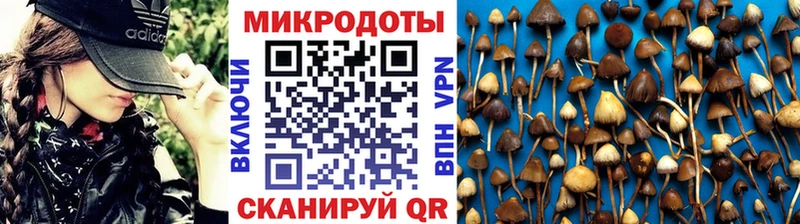 Купить Псков Псилоцибиновые грибы мухоморы